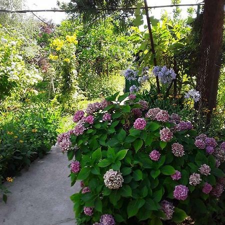 Zeleniy Dvorik Guest House New Athos Exterior photo