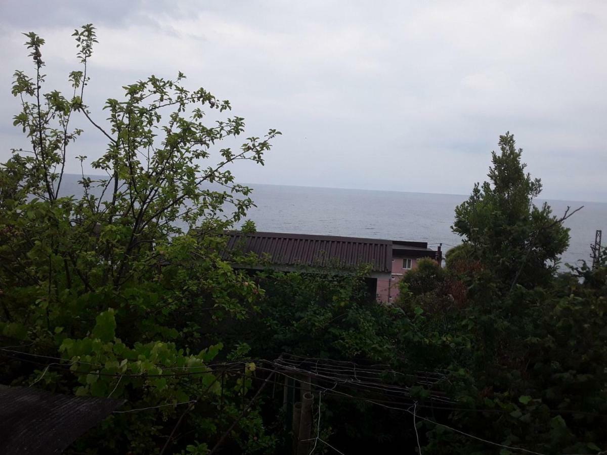 Zeleniy Dvorik Guest House New Athos Exterior photo